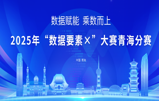 2025年“数据要素X”大赛青海分赛
