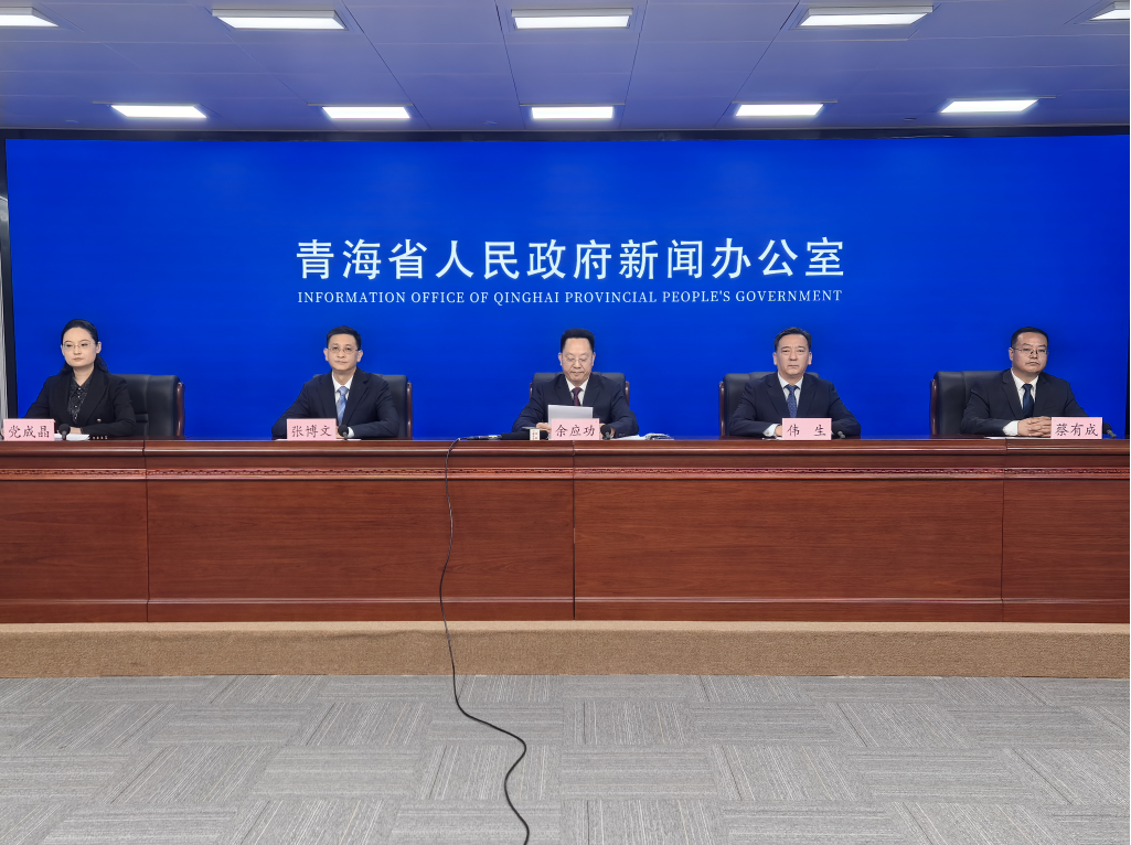 【洁净青海 绿色算力】青海：算电协同取得突破性成效 绿色算力跃居全国前列